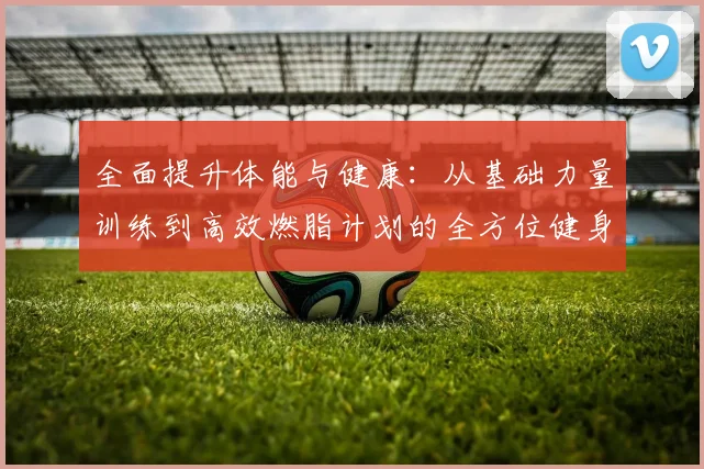 全面提升体能与健康：从基础力量训练到高效燃脂计划的全方位健身指南