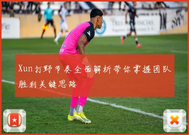 Xun打野节奏全面解析带你掌握团队胜利关键思路
