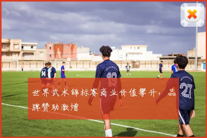 世界武术锦标赛商业价值攀升，品牌赞助激增