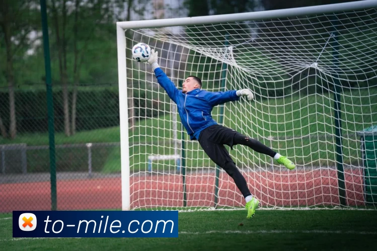 米乐M9APP 封面图